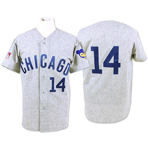 Men's Chicago Cubs Ernie Banks Replica Grey Throwback Jersey