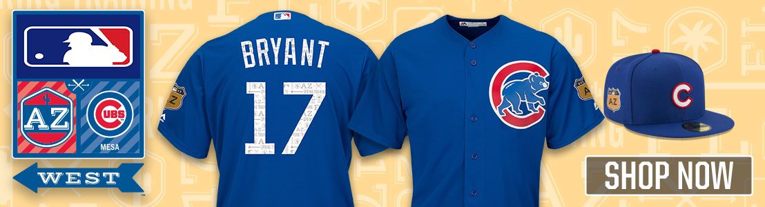 cubs jersey store